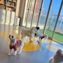 옐레드 시흥은계호수점 이미지