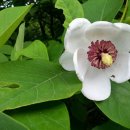 봉우리농장 이미지