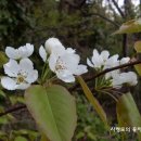 이대감사랑채 이미지