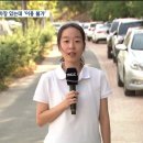 인도 점령한 불법 주차.. "주차장은 있는데" 이미지