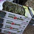 무진장농원 이미지