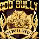 충남켄넬 이미지