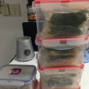 페이퍼 피티 이미지