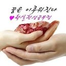 뉴호방나이트클럽 이미지