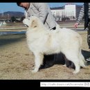 루커