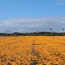 들꽃목장 이미지