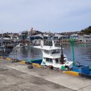 외옹치항 활어판매장 이미지