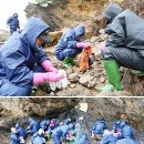 충남기름집 이미지