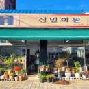평창상일화원