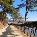 우정매향 | 경칩엔 매화보러 도산서원... /퇴계의 매화시첩