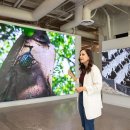 상업용 98 이미지