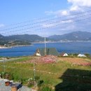 언덕위하얀펜션 이미지