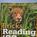 Fun Fun English 이미지