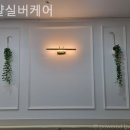 로얄케어 네이버블로그