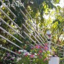 베가스테이 이미지