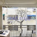 산호타운 이미지