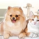 우리집 강아지 이미지