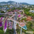 무릉계곡관광안내소 이미지