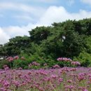 더존산림