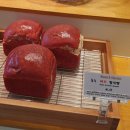 한빛안과의원 | 대전 빵지순례필수코스 [베이커리 미르] 말차덕후가 픽한 시나몬롤 솔직후기