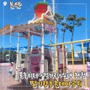 8월 테마가 있는 책놀이터 : 신나는 여름 | 충남 논산 여름 아이랑 가볼만한 곳 딸기향농촌테마공원 물놀이장