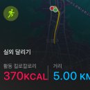 더마시모 | 여성 탈모방지 더마시모 탈모에센스 후기
