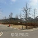 A&J오토캠핑장 이미지