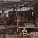 기자농장 이미지