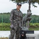 육군 군견훈련소 이미지