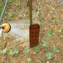 무지지천 이미지