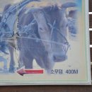 워낭소리 이미지