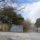 스플라스리솜 | 서울근교 스파 워터파크 덕산 스플라스 리솜 솔직후기