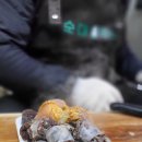 CU편의점 송현주하점 | 천안아산 탕정 별하신도시 하늘채 아파트 앞 순대벅스 순대트럭 만나기 + 푸라닭 아산장재점 + 두바이...