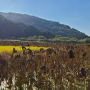 행원정농업조합법인 이미지