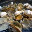 해물마을 이미지