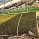 억새풀농장 이미지