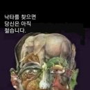 실버보드게임 지도사 이미지