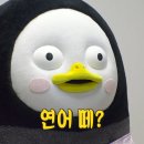 고조선수산 이미지