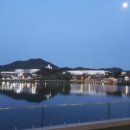 에메랄드그린 이미지