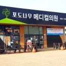 포도나무메디컬의원 이미지