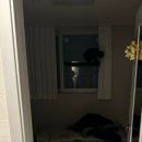 DS동물병원 이미지