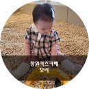 모리키즈카페 이미지
