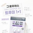 트루미
