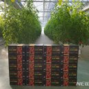 사천농협하나로마트 이미지