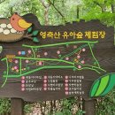 영축산순환산책로(유아숲) 네이버블로그