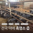 한양농장 | [전국택배가능] 흑염소효능 기력보충 직접 기른 흑염소진액 양천구 한양건강원