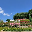 도당동행정복지센터 이미지
