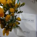 논실민박 이미지