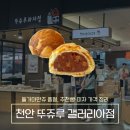 만쥬하나 | 천안 갤러리아 뚜쥬루 후기 | 돌가마만쥬 품절, 추천빵·피자 가격 정리