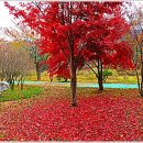 인제그라운드골프장 이미지